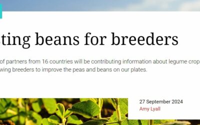 Legume Generation boosts global legume breeding with database contributions