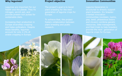 Legume Generation project overview