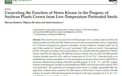 Unraveling the Function of Stress Kinase in the Progeny of Soybean Plants Grown from Low-Temperature Pretreated Seeds